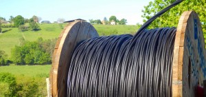vineyard electrical wire