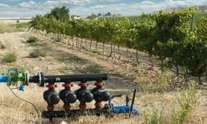 vineyard electrical contractors